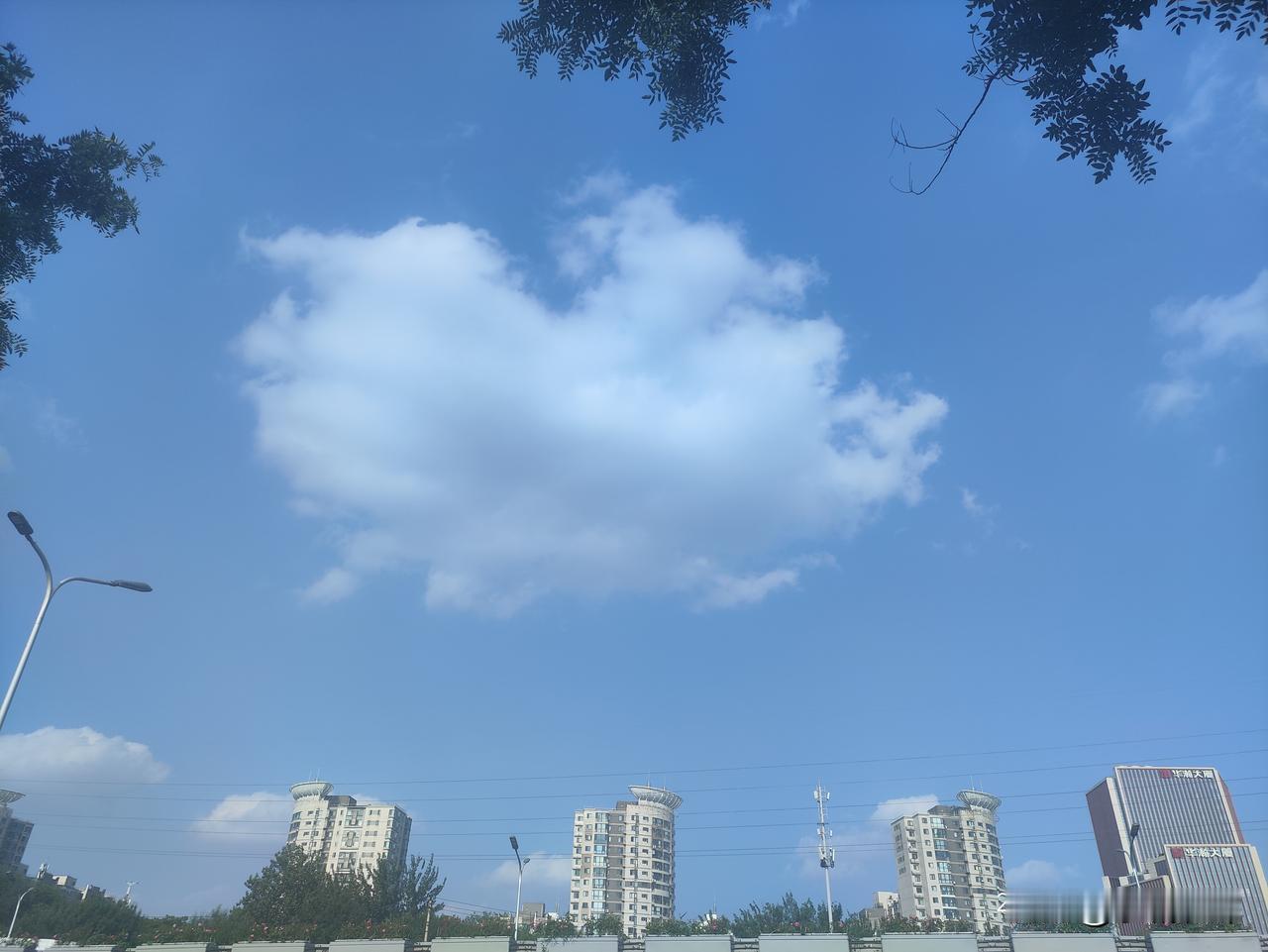 难得遇上北京这般澄澈好天，整片天空铺开透亮的浅蓝，一朵蓬松白云静静悬在楼宇上空，