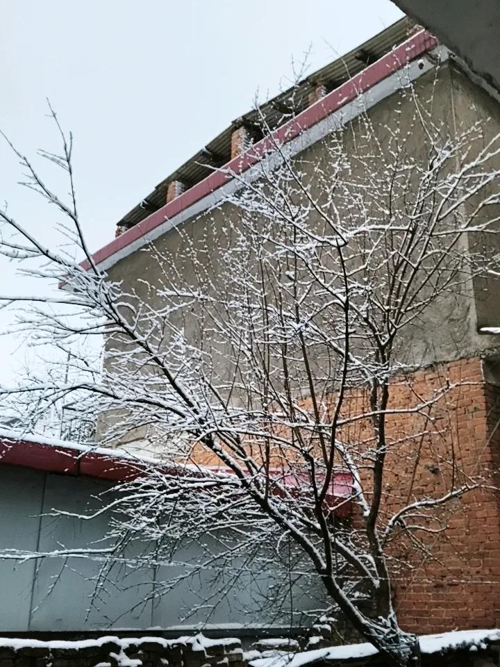 我的今日状态：😁轻松愉快
我这里的天气：❄️下雪