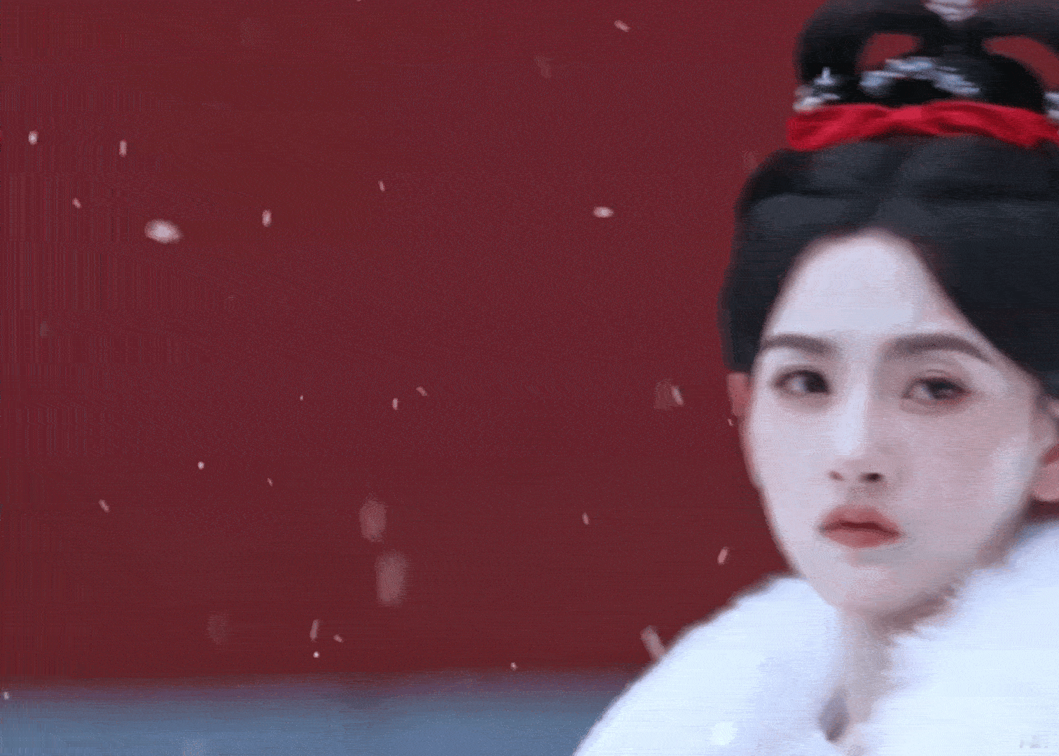 红梅白雪 