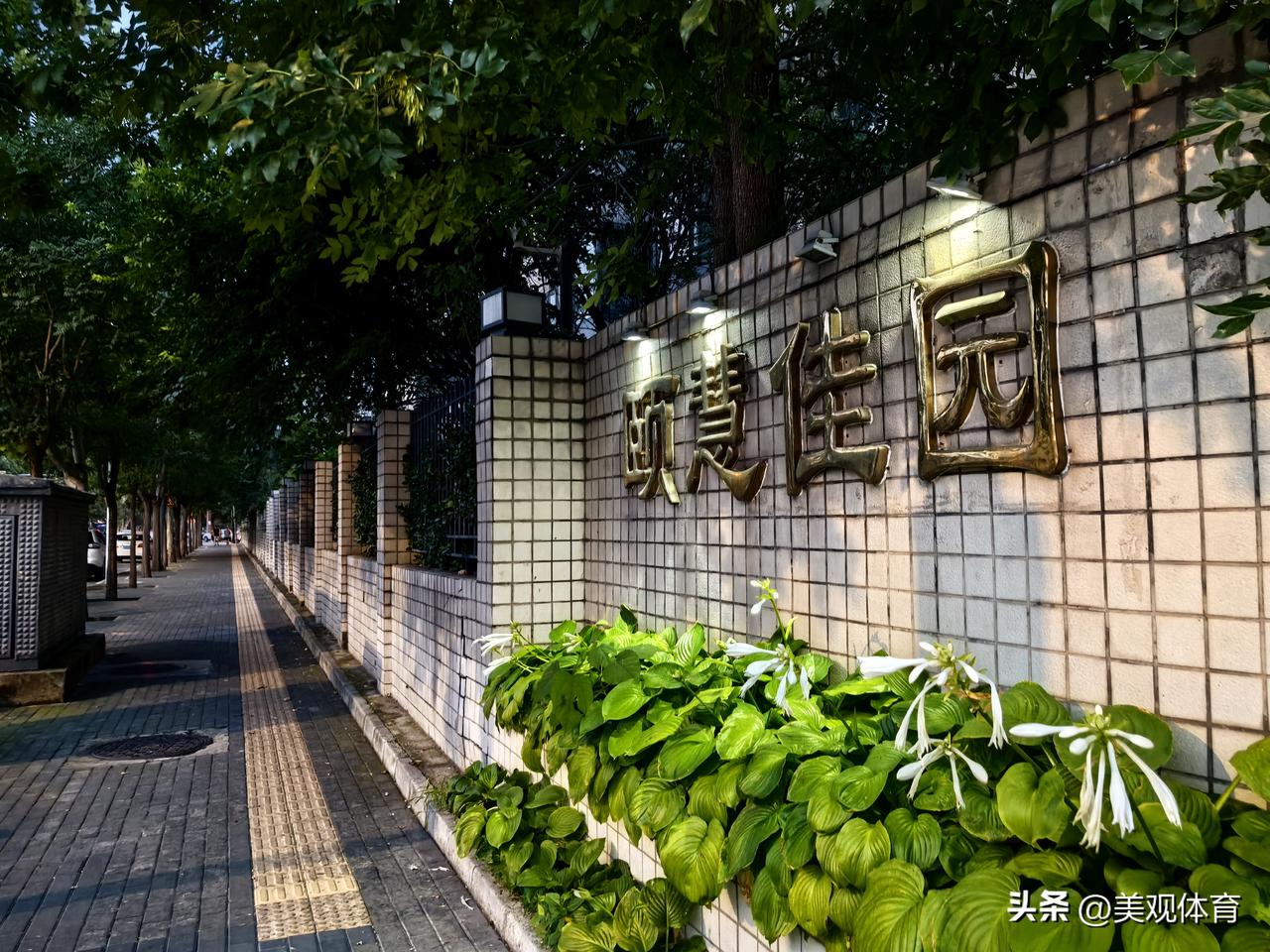 傍晚气温稍稍有点下降，但是依旧闷热难耐。图为出门遛弯、遛狗的颐慧佳园附近的小区居