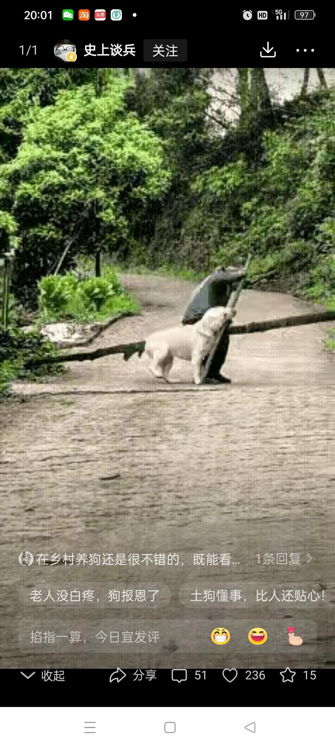 “成精了！”老人去山上扛了一根木头回来，要带回家当柴烧，狗子跟着小主人去迎接，当