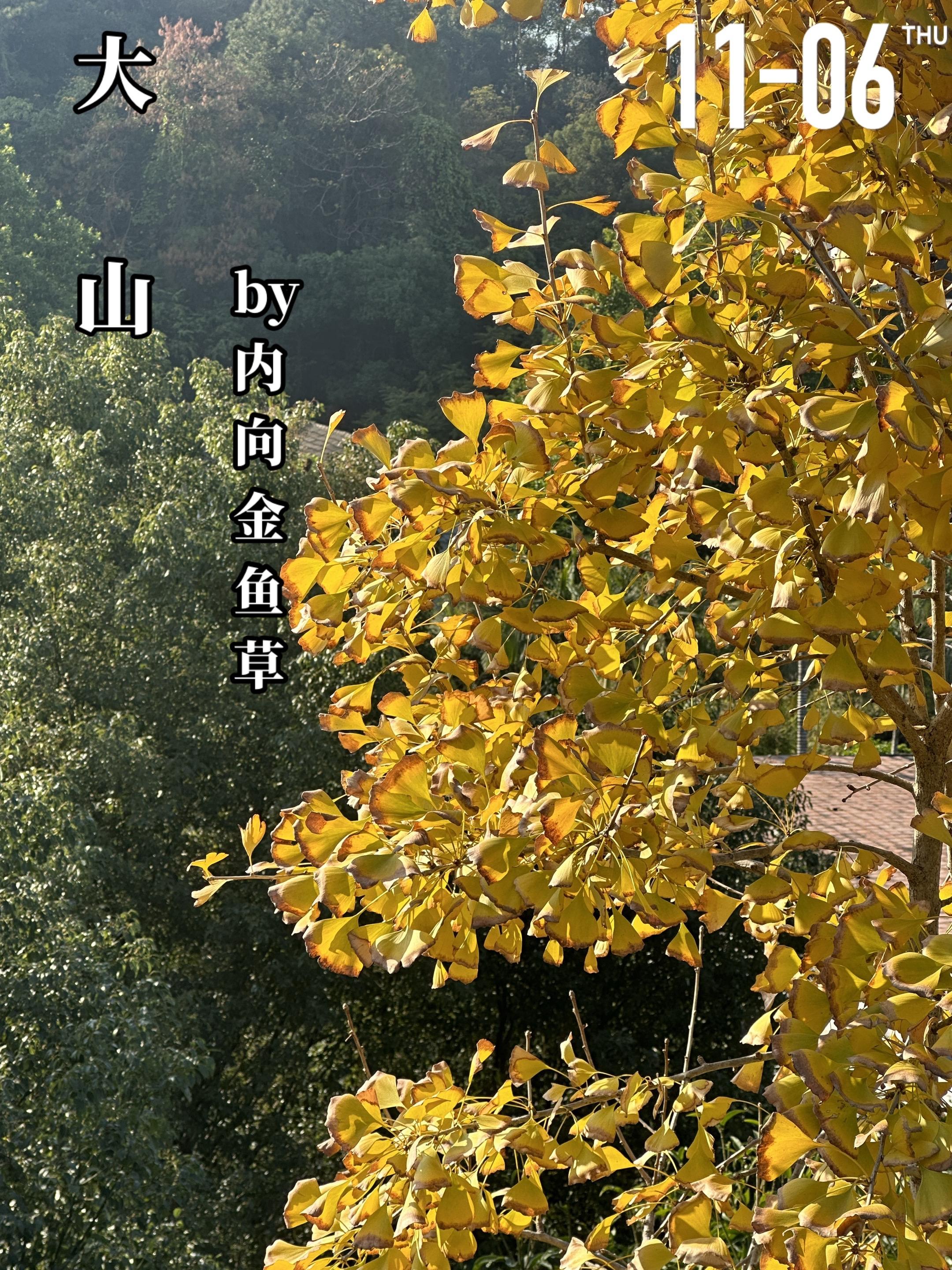 《大山》by内向金鱼草。张新妮（女主）与张见山（男主）两人是来自重组家...