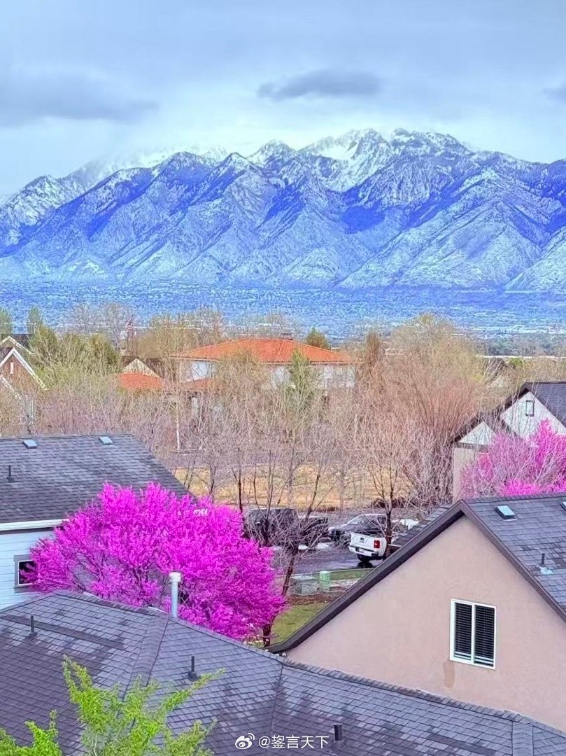 露台所见 乖妈摄影 