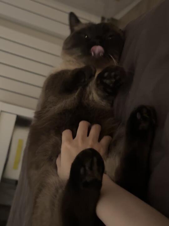 我的阿贝贝🥰