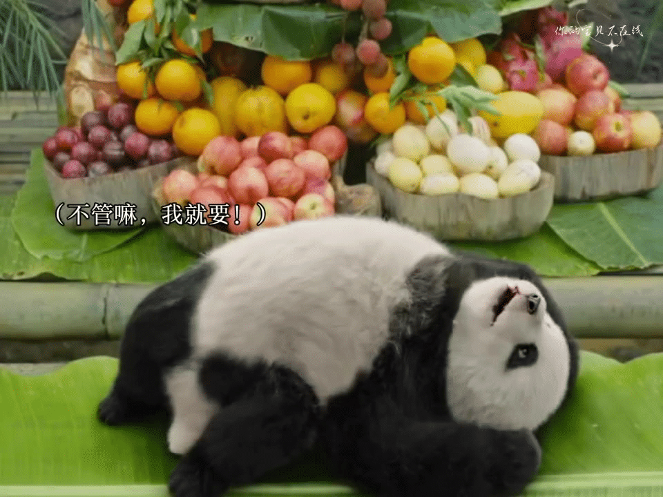 成长为大人也有要守护的童话成年人的世界写满疲惫，但心底那个相信童话的小孩从未离开