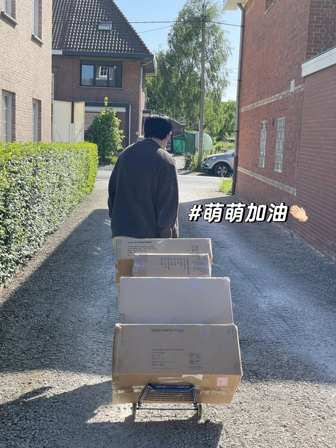 EcoPawPaw 宠物用品创业｜昨天玩完今天发货