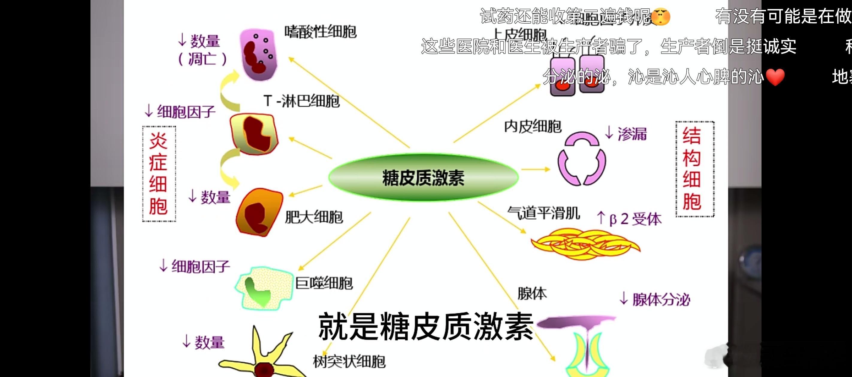 这个人讲315那个加外泌体的笑死了，他说了一个东西糖皮质激素，可以短时间让皮肤变
