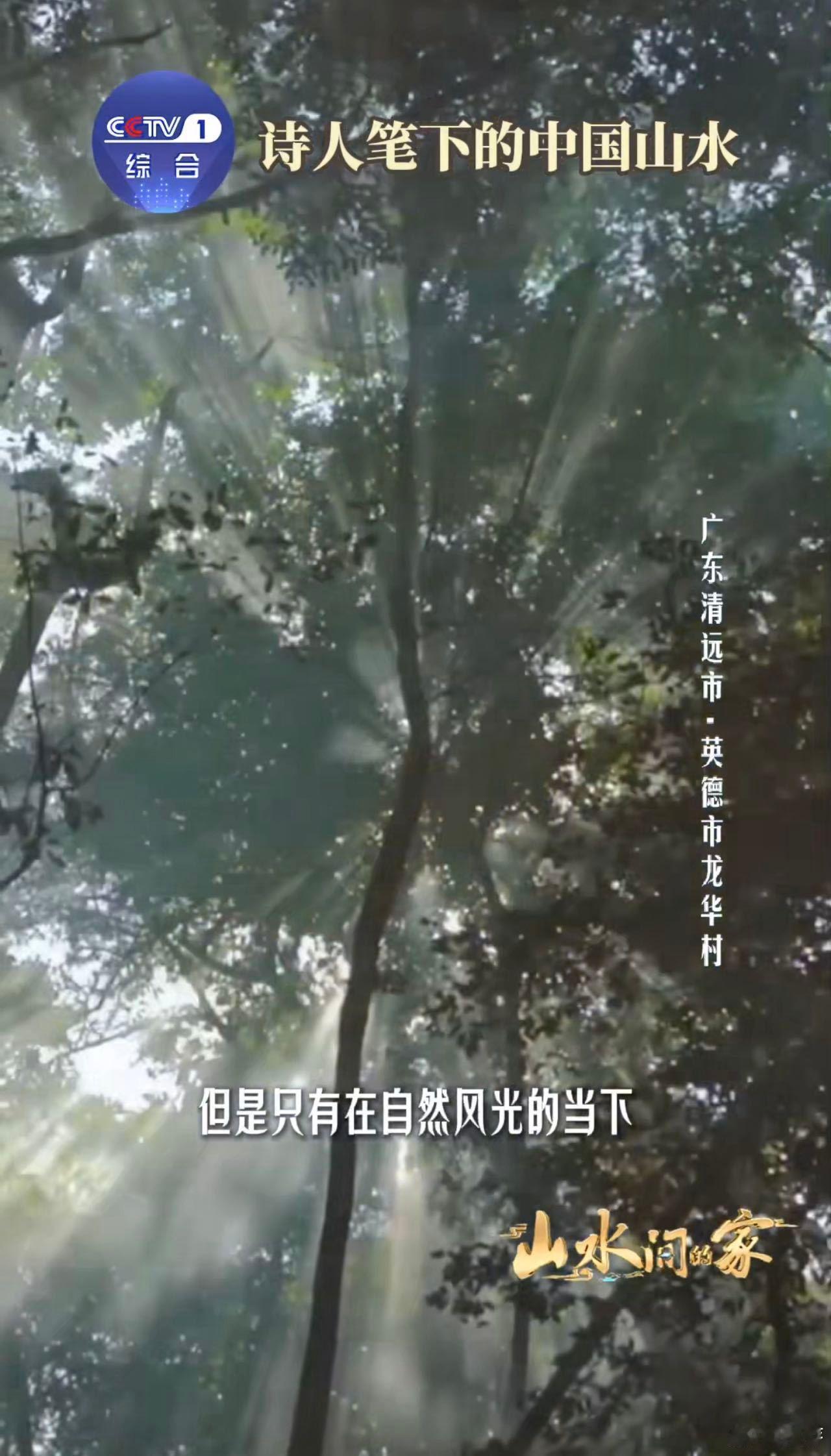 中国人用几千年给山水写诗面对中国山水古人全是诗张力 以前背诗词只懂字面，现在见了