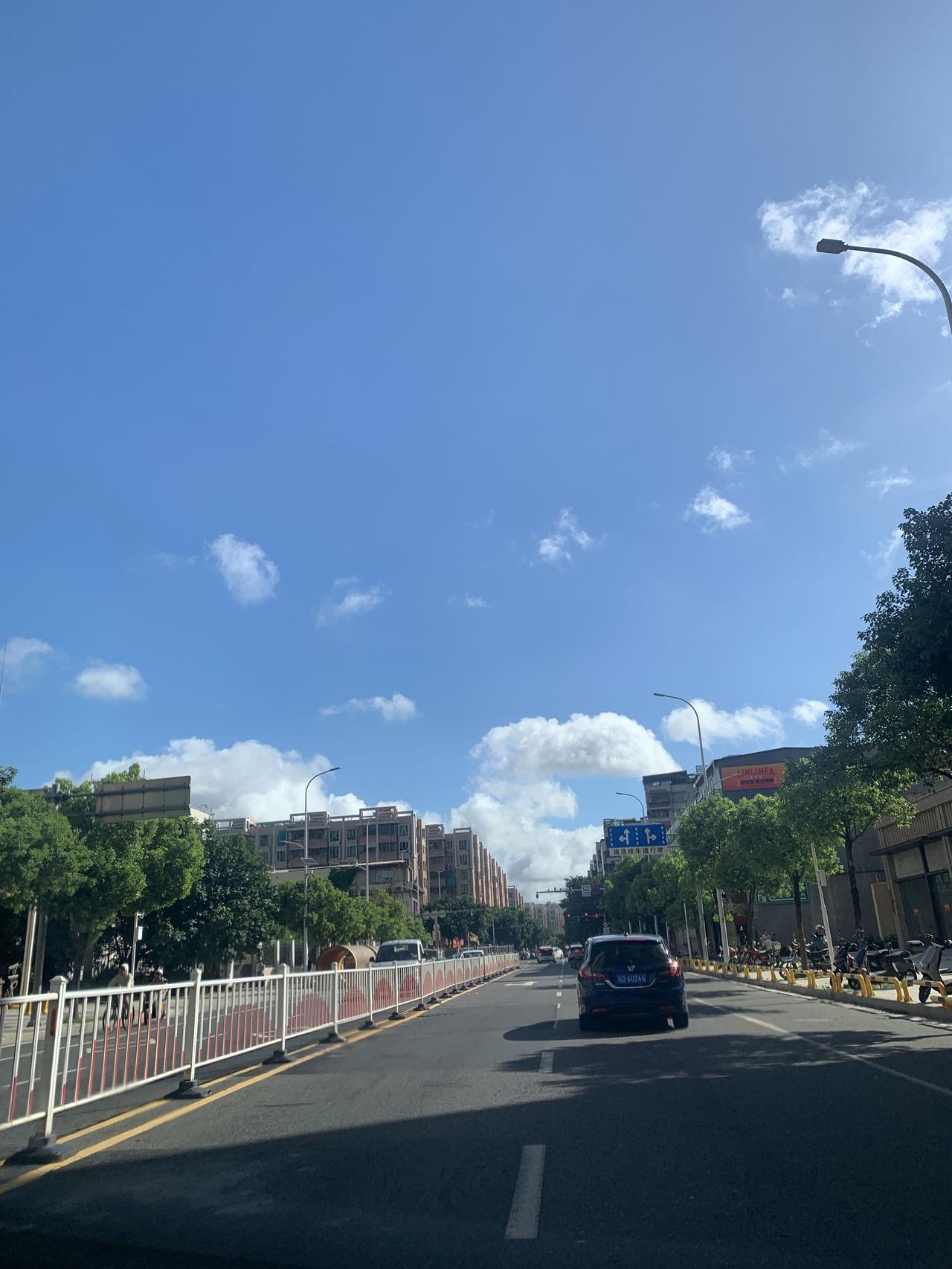 夏雨收梢，暑气稍稍退让
街边行道树，被洗得绿意发亮

你偶然抬头，我也恰好仰望