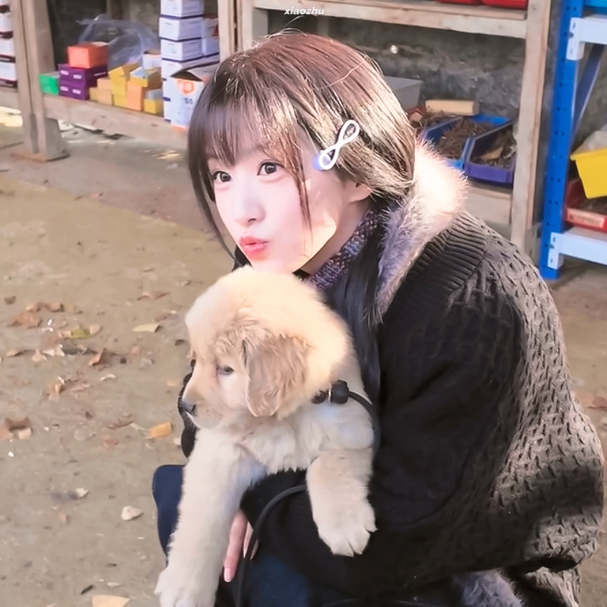 ჻჻经营呆萌生活ing🎀ơ ᎑ ơ 🐕包上恩周挽﻿