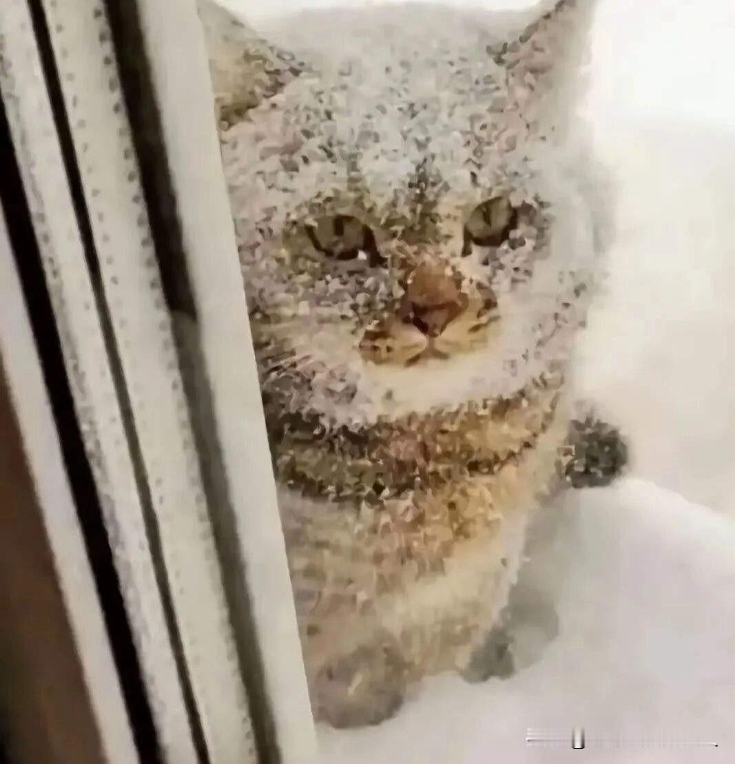 你代替她女儿做了好事，这份情谊难能可贵，也说明你和朋友的人品都很不错。不过，这次