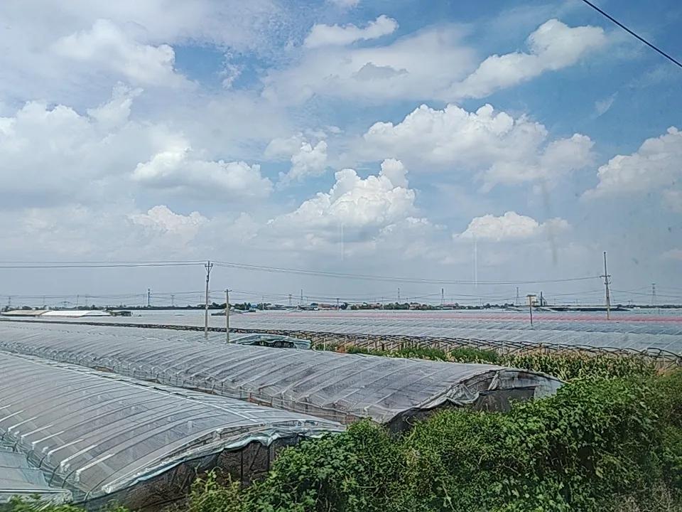 在青岛的列车上，看到了这么多的塑料弓棚，不知里面种着什么？有知道的吗？这是山东的