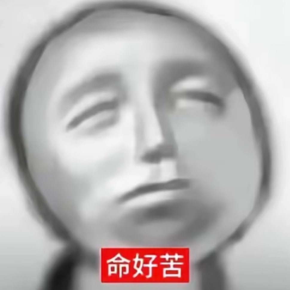 学长给我拍的照片：  除了性别 真的一模一样 还专给我找阳光的地方 又黑又虚大小