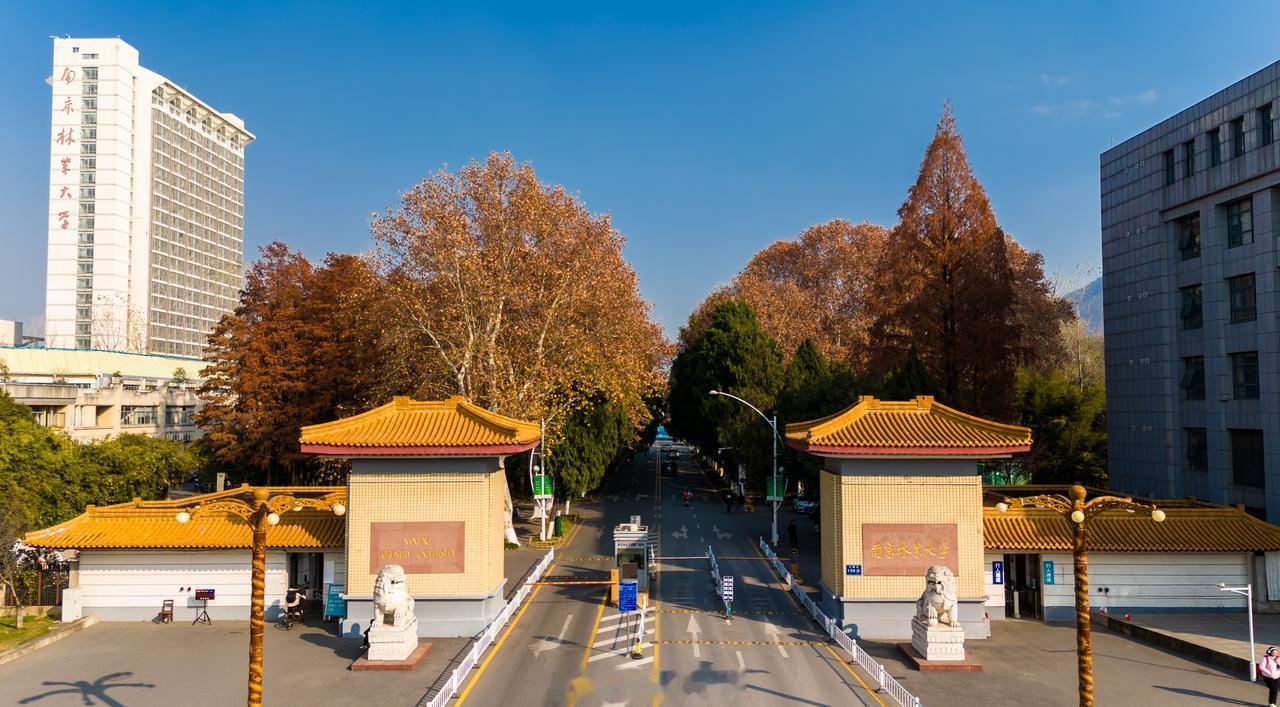 望钟山层叠，诚朴雄伟，初心如磐；
览金陵林海，学融草木，求索无疆；
守千里碧波，