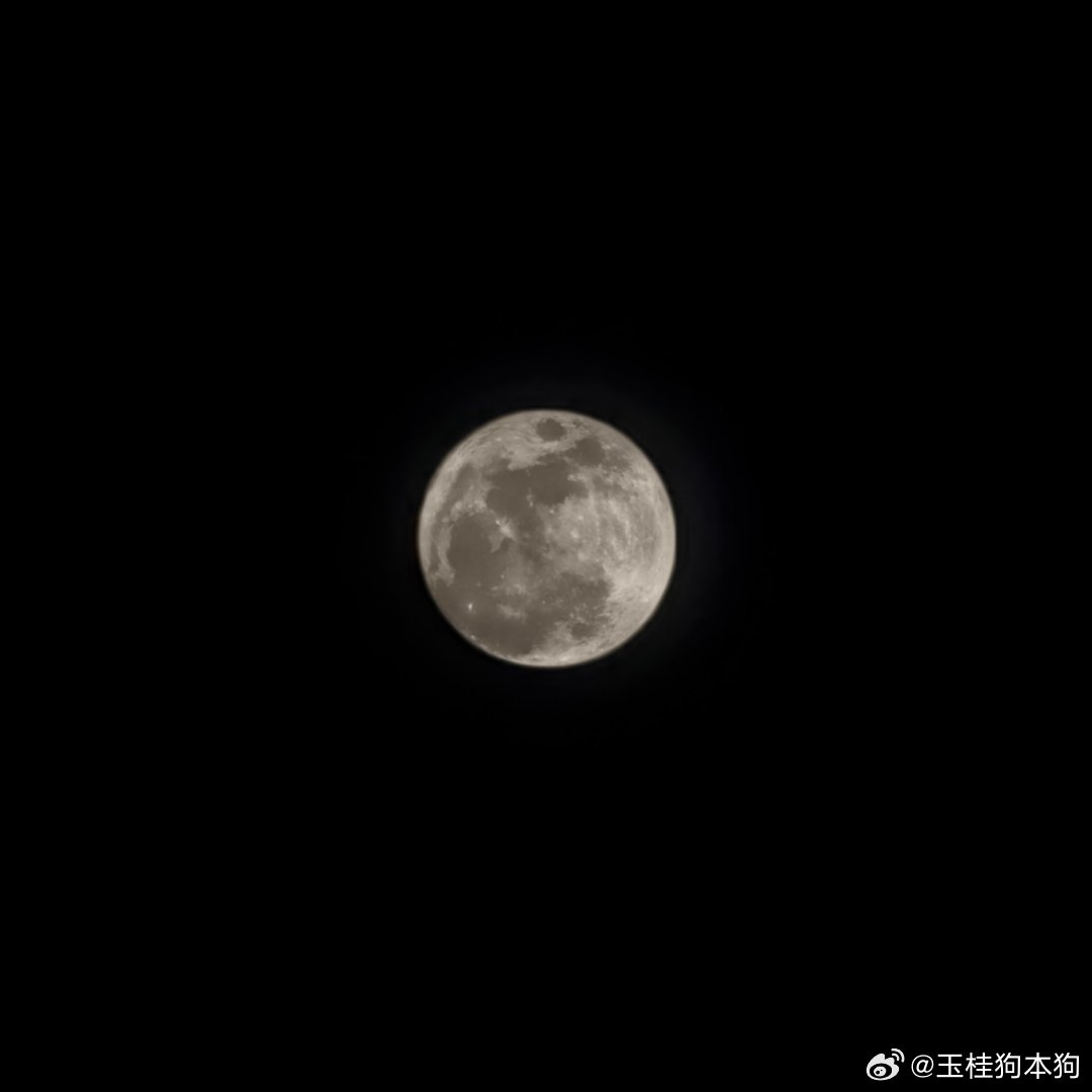 张泽禹你看，今晚月亮好圆！​​​