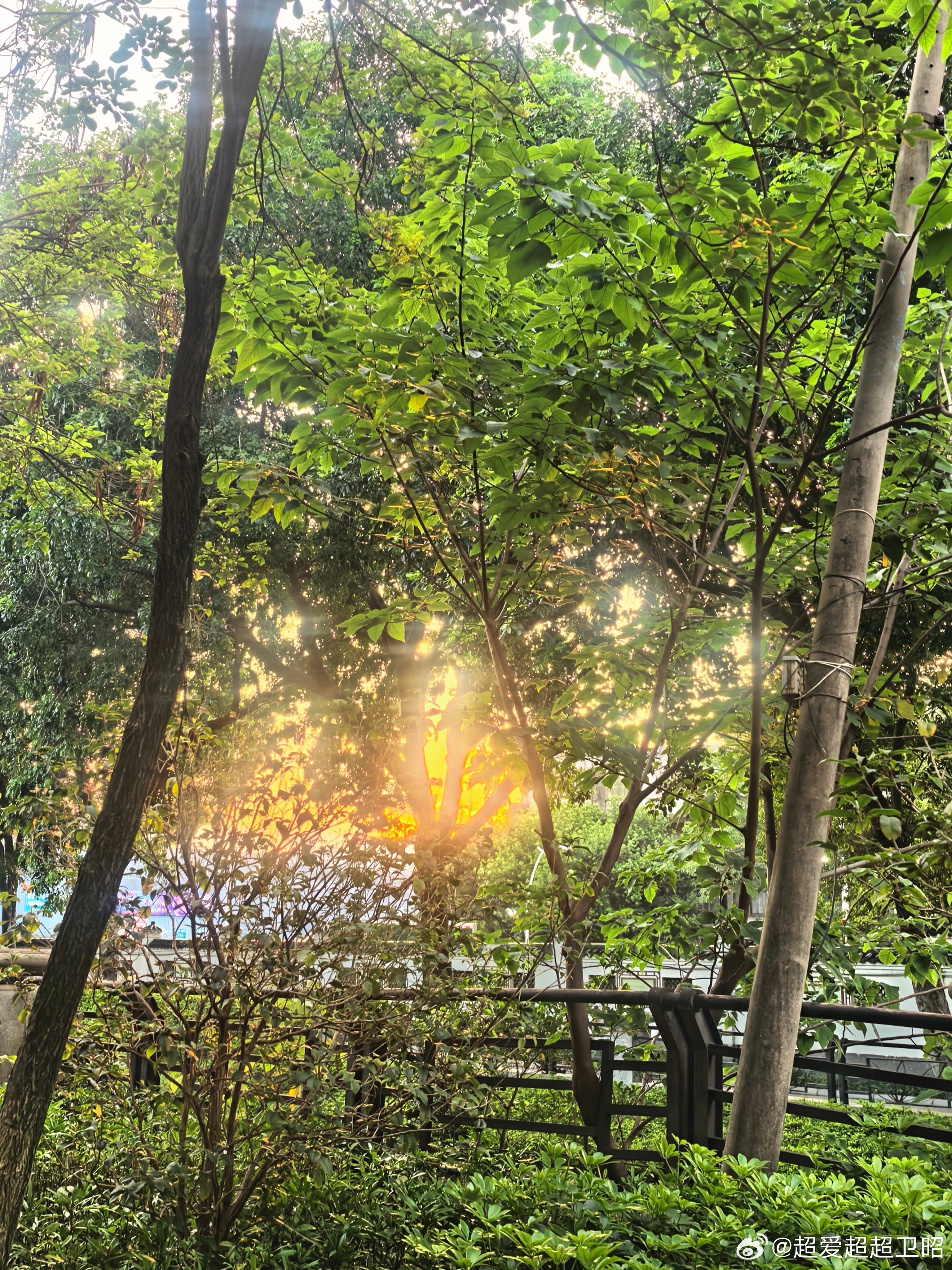 早安 自己丰富才感知世界丰富，自己善良才感知社会美好，自己坦荡才感受生活喜悦，自