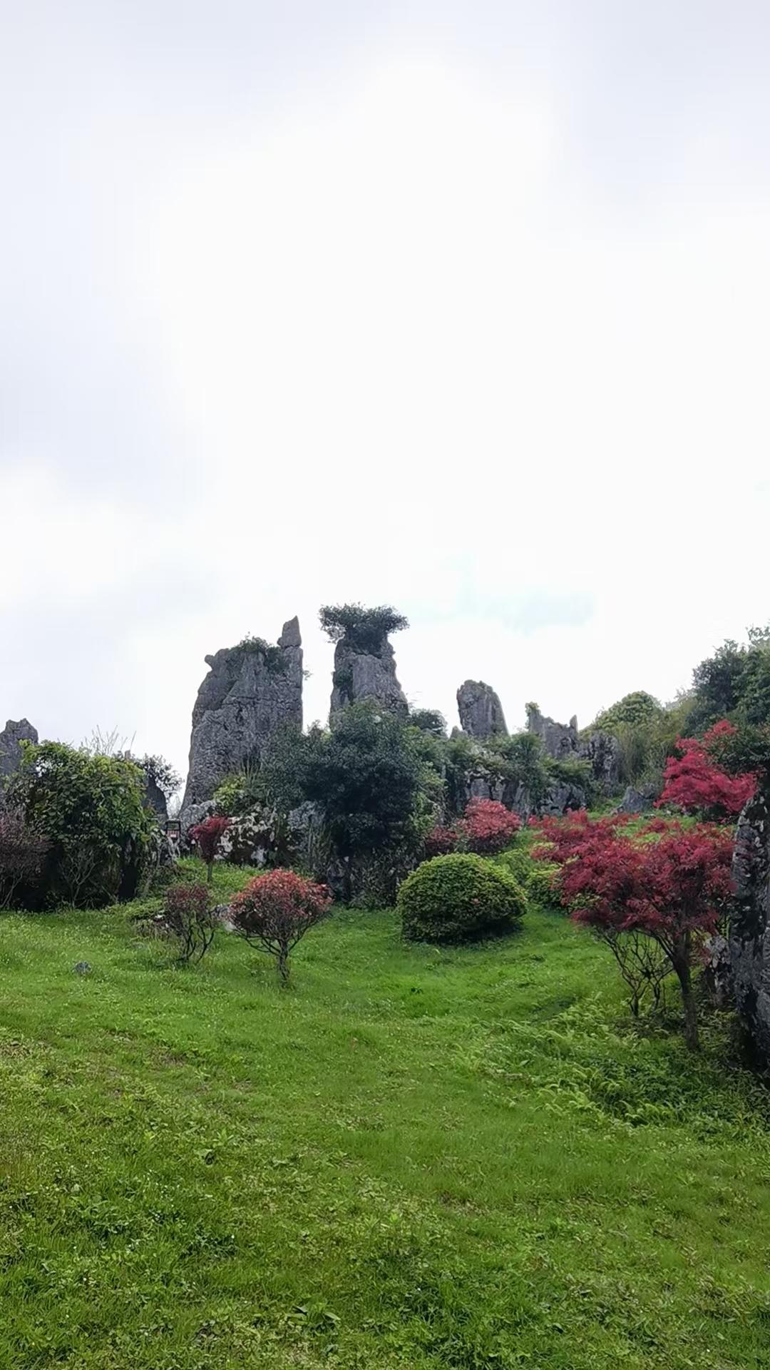 情绪稳定的人，本质上是认知足够高
     真正的情绪稳定，从来不是压抑脾气，