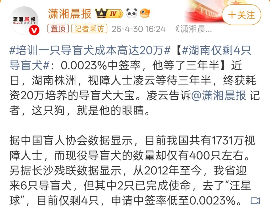 湖南仅剩4只导盲犬所以感觉机器导盲犬才是未来，普通导盲犬这太少了，1700万视障