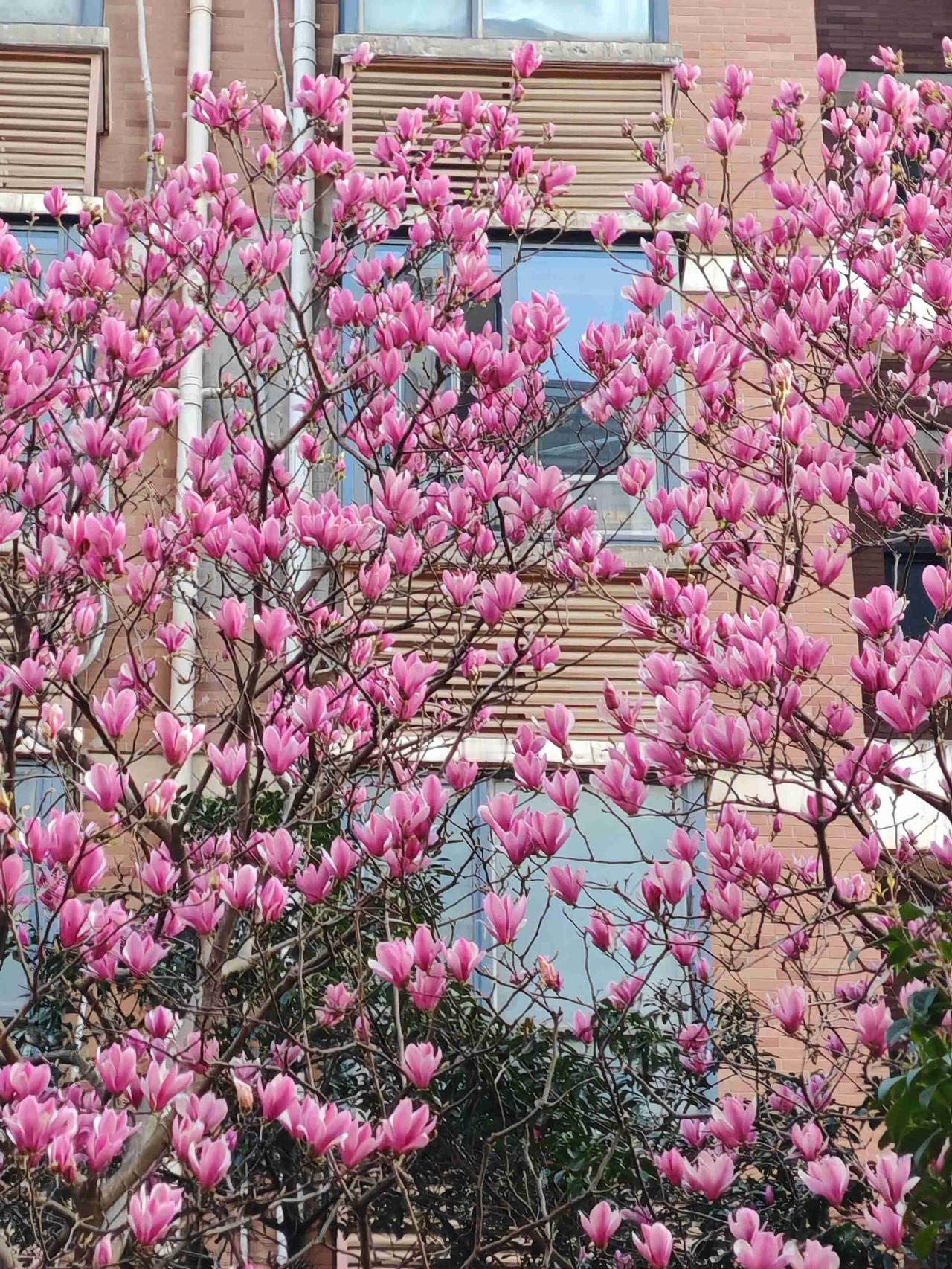 我的今日状态：😁轻松愉快
我这里的天气：🌧下雨