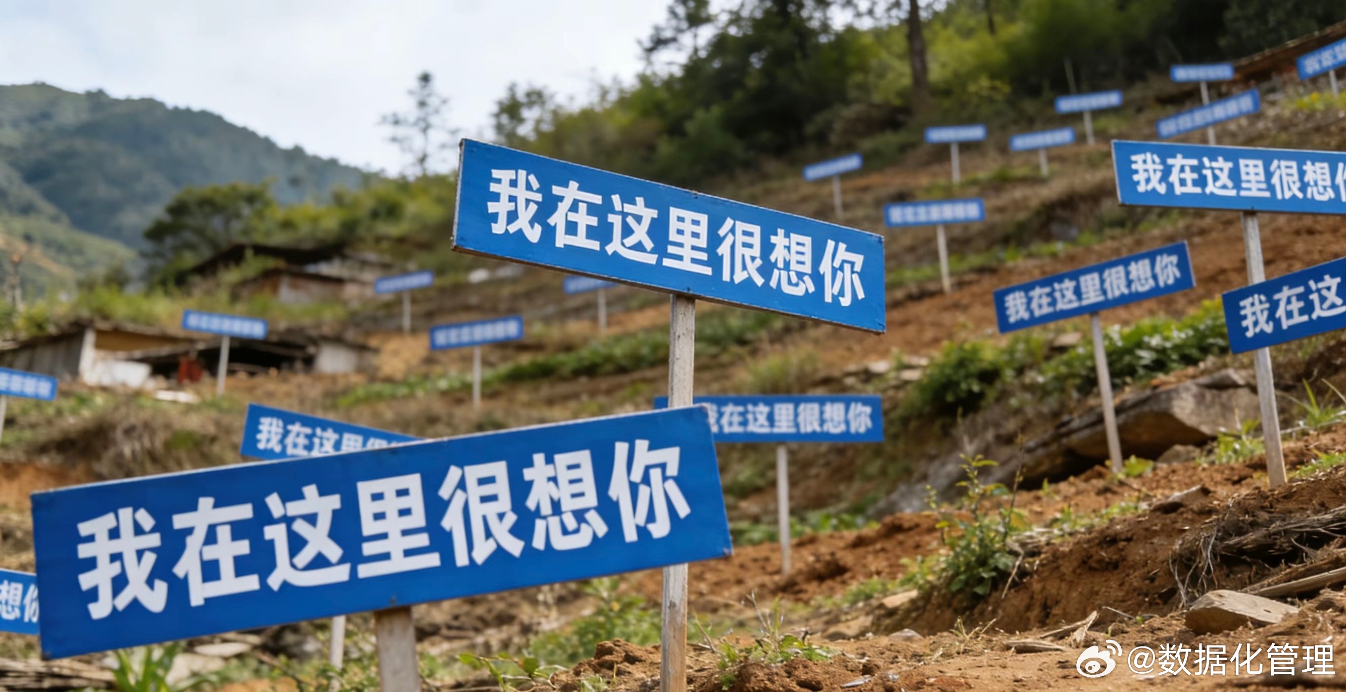 新出台的土葬新规要求生态安葬：深埋、不留坟头、不硬化地面、不立大型墓碑；鼓励树葬