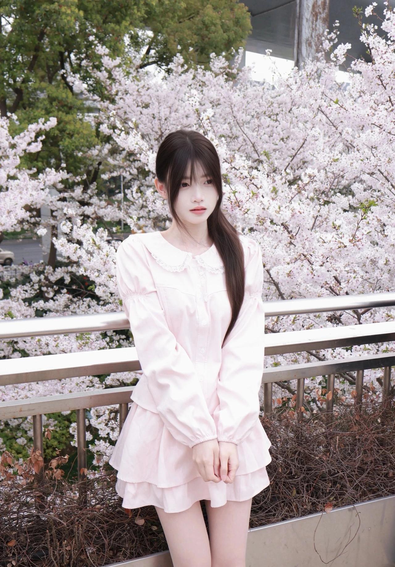 春风携樱花而至，...