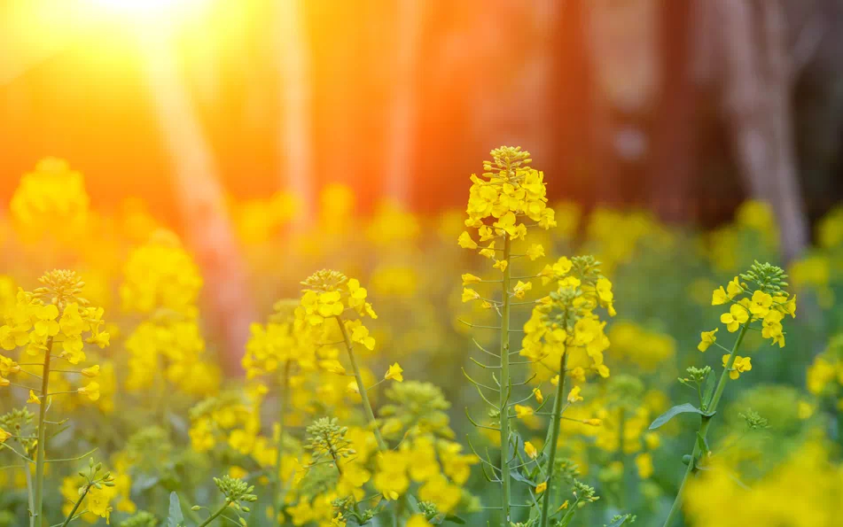 这一生最珍贵的从来不是财富名利，而是无病无痛的身体，和睦安稳的家庭，清净无扰的内