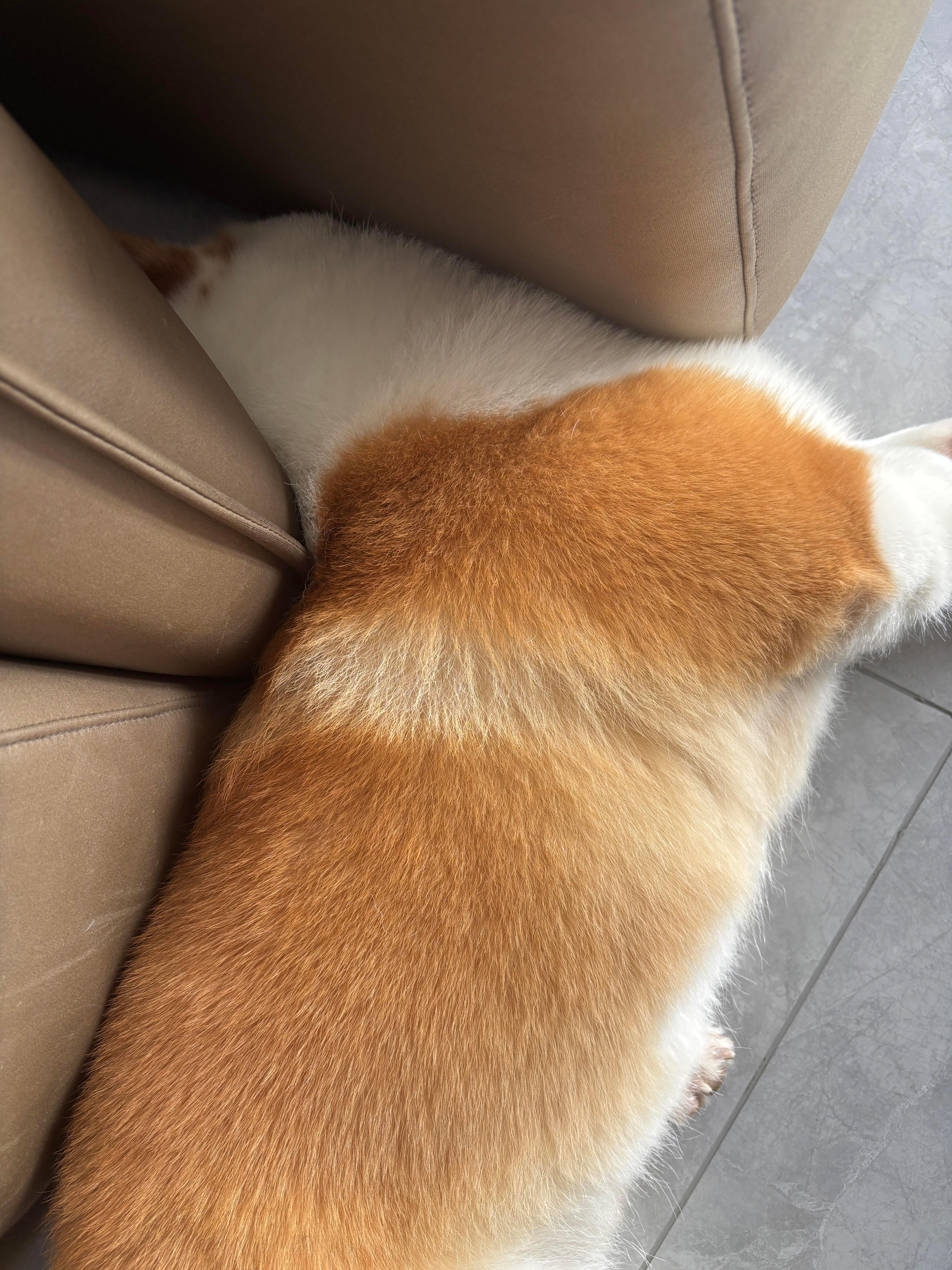 少侠骨骼清奇，是位练武奇才。