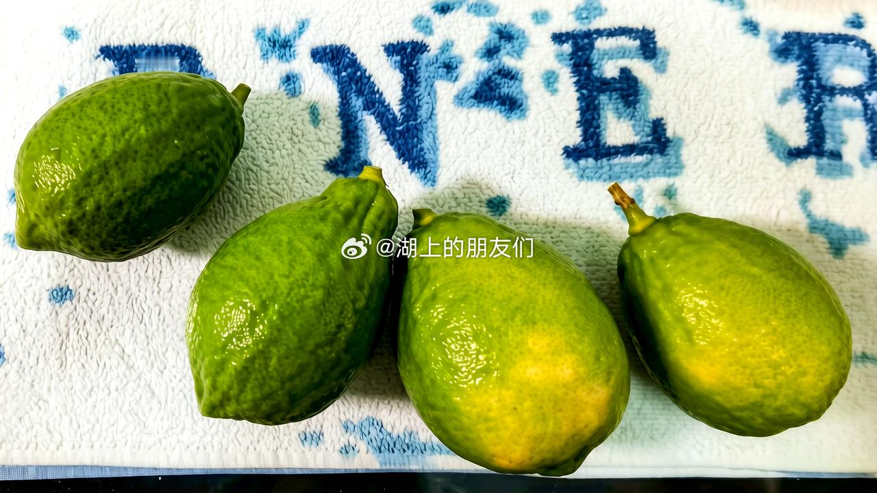 家里的一棵香水柠檬，今早又摘了四只果子。生活手记[超话]‎生活手记 ​​​