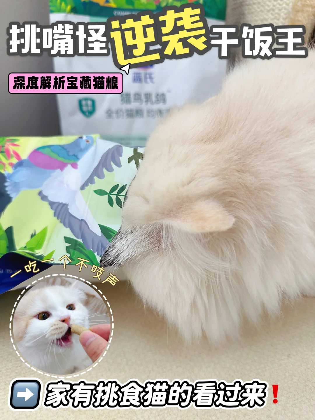 饭渣猫的国货宝藏粮，已吃3个月...