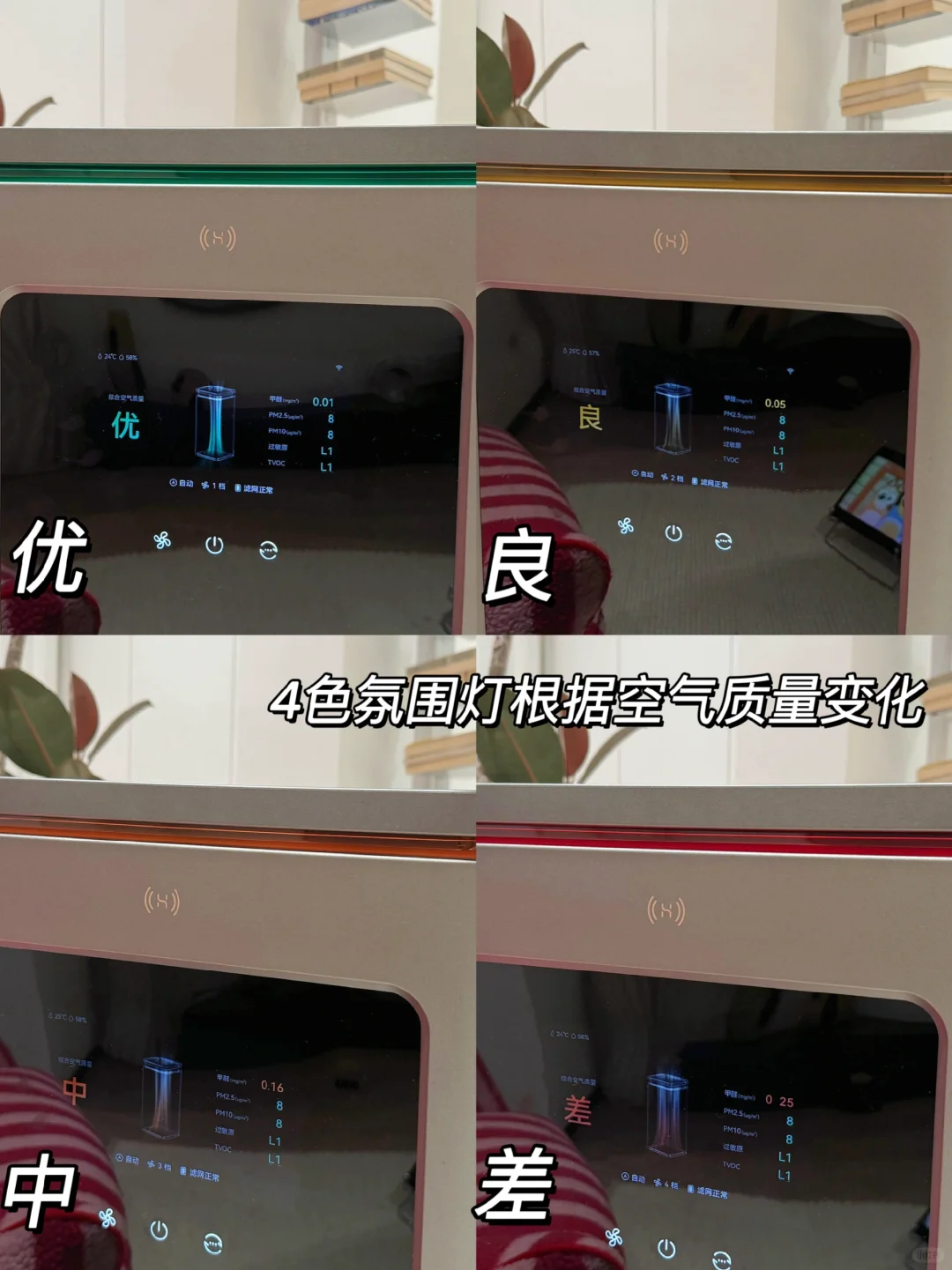 家居博主天天爆改，真怕甲醛中毒！😭