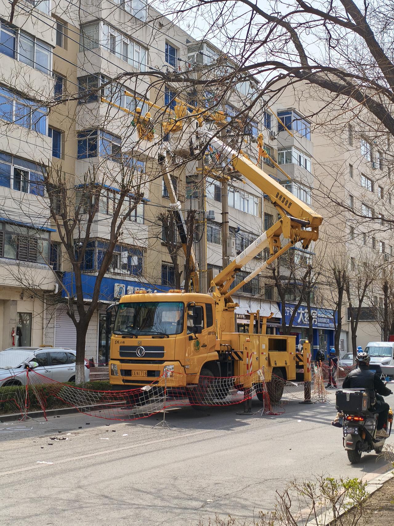 沈阳街头春日大动作！剪枝除絮，守护清爽一夏🌿
 
今天路过沈阳街头，被这一幕暖