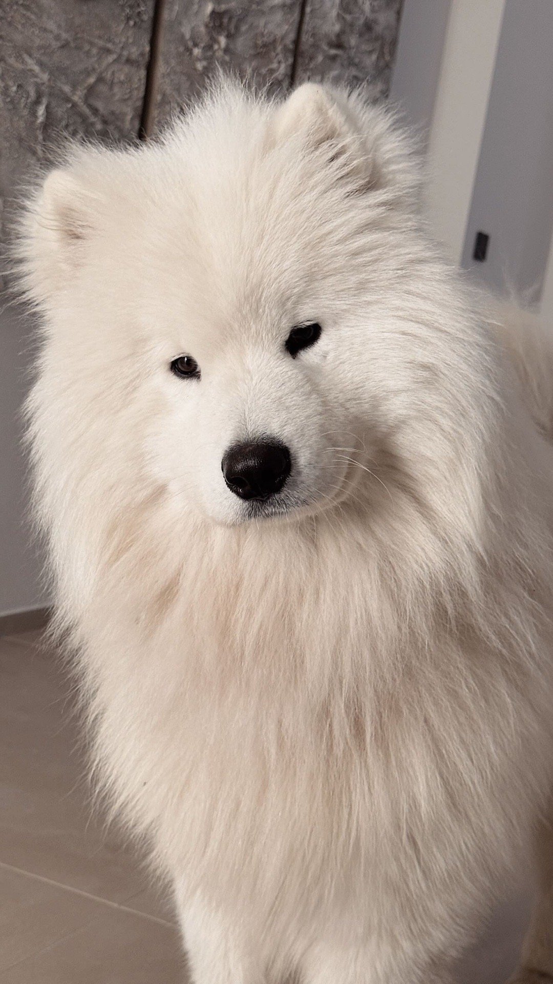 哈哈哈～想看看你滴爸妈阿尔瓦雷斯关注阿根廷球员