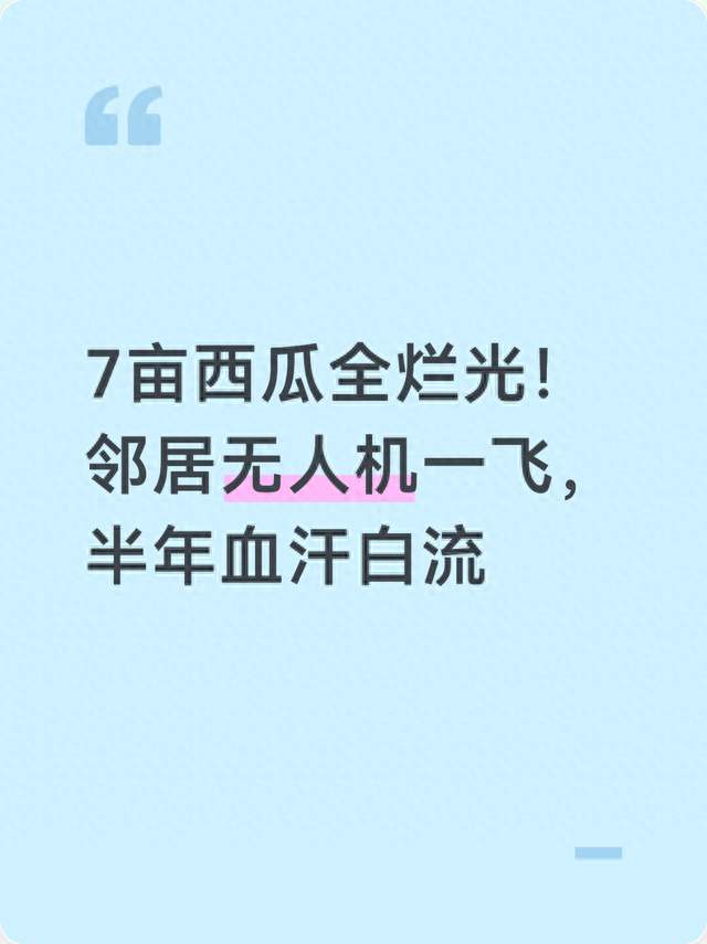 7亩西瓜全烂光！邻居无人机一飞，半年血汗白流