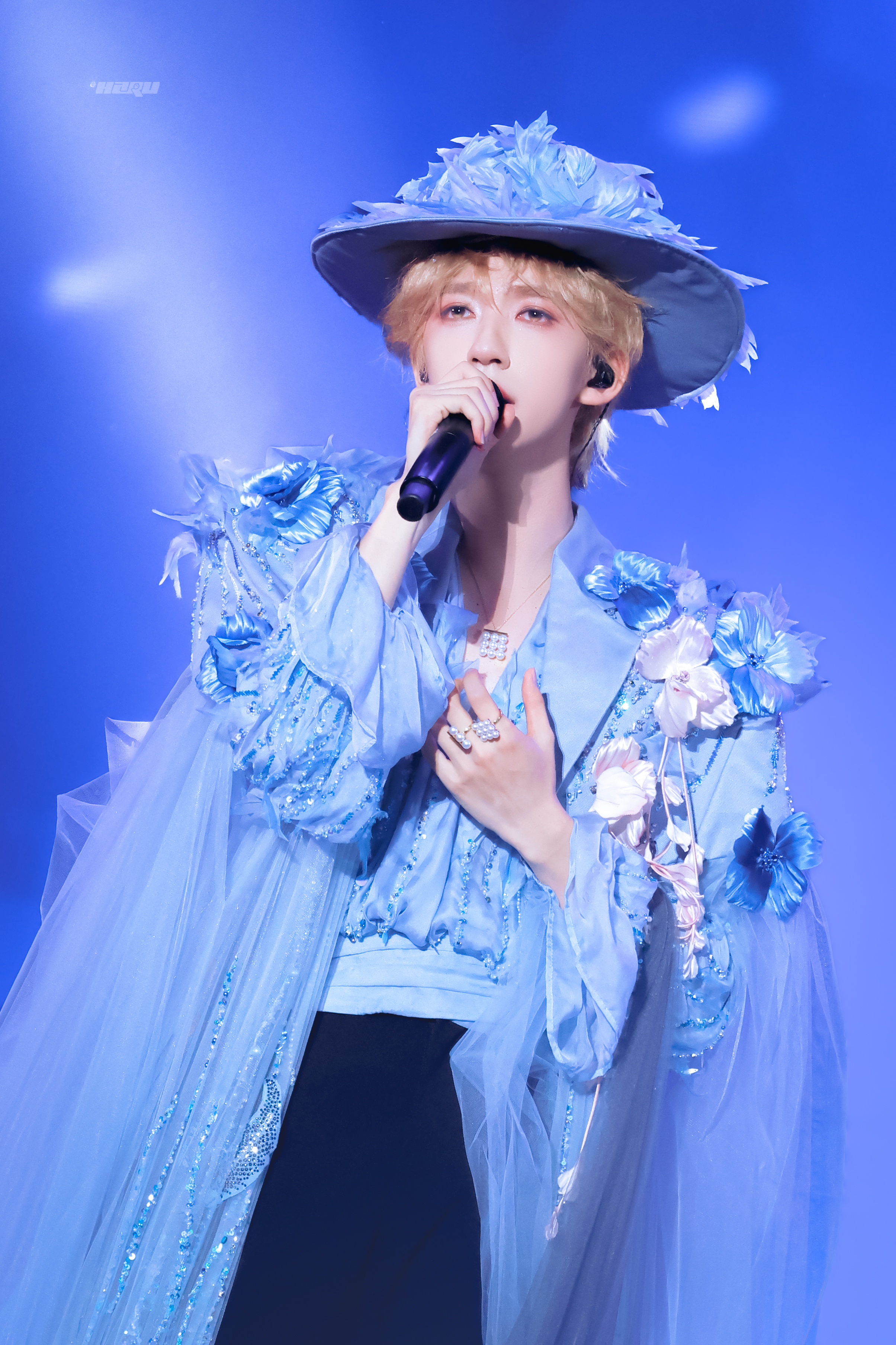 词，不达意贺峻霖🦋 / 时代少年团上海站 Day2 
