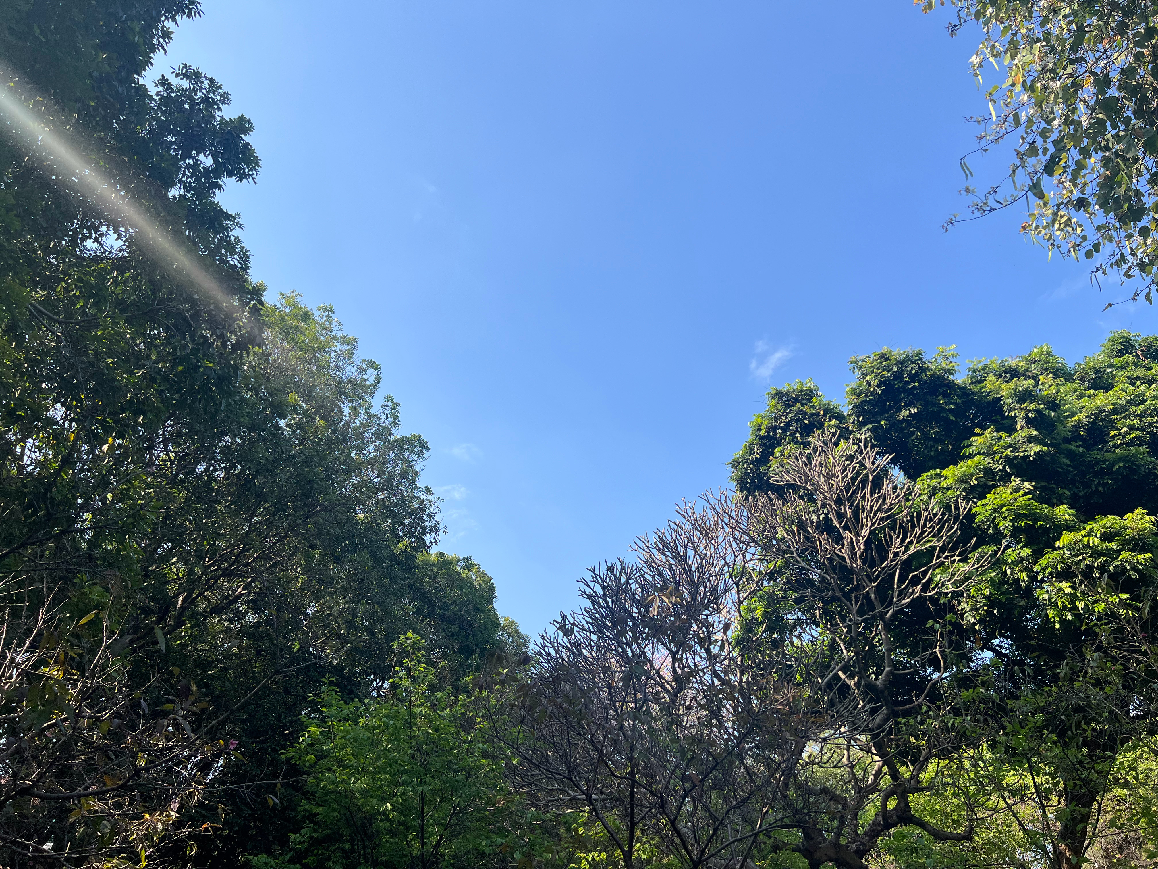 刚才看到了张老师说的一段话～有个家长咨询说，女孩子嫁到北京找到一个有北京户口的有