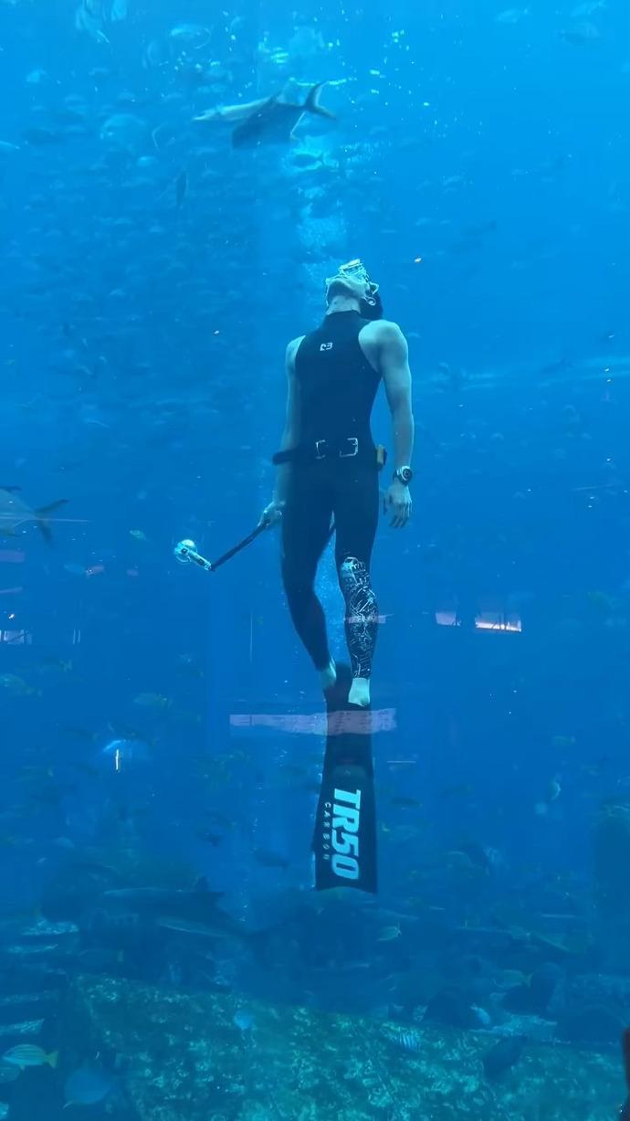 水族馆的男美人鱼竟然是吴磊谁懂啊！水族馆限定惊喜暴击，这条美人鱼竟然是吴磊 