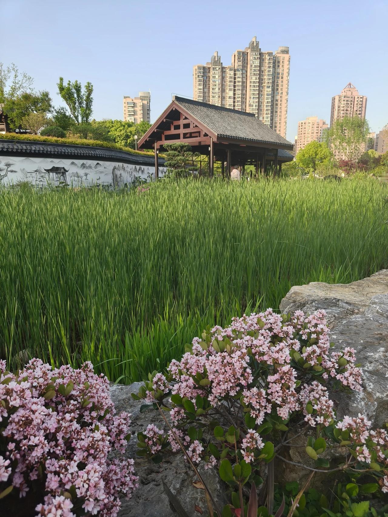 “我始终相信，一切都会好起来，即使不是今天，也一定会是明天。”
        