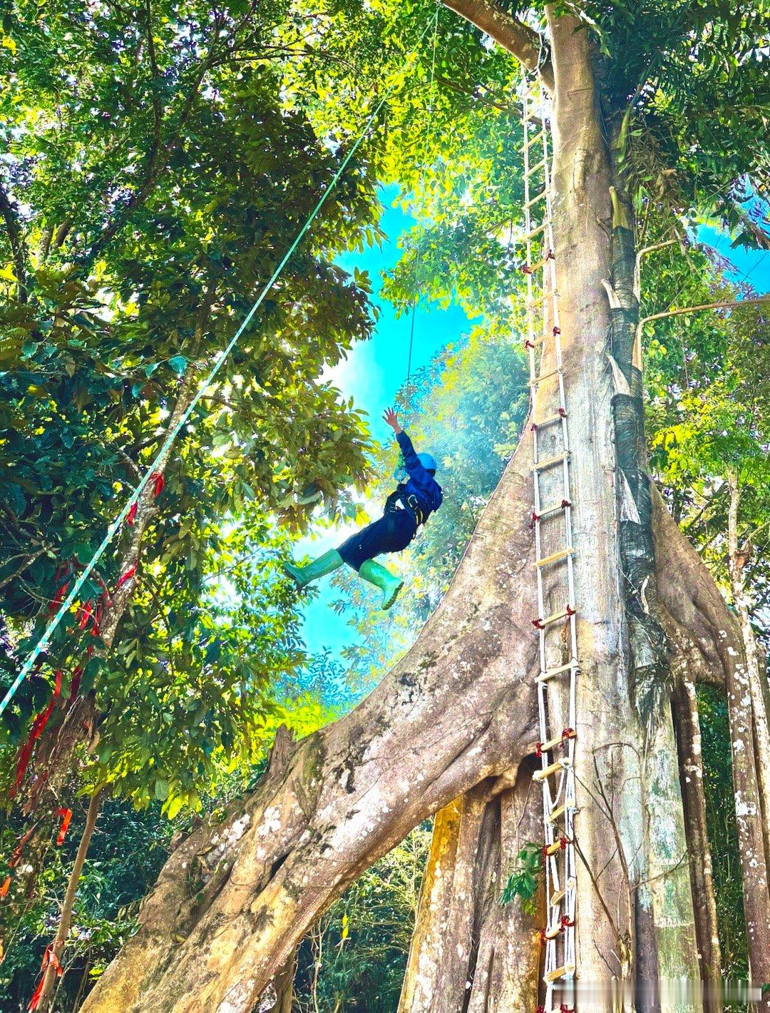 西双版纳家庭旅行结束，在版纳买别墅的心又被撩拨起来了。世界是如此美好，所以才值得