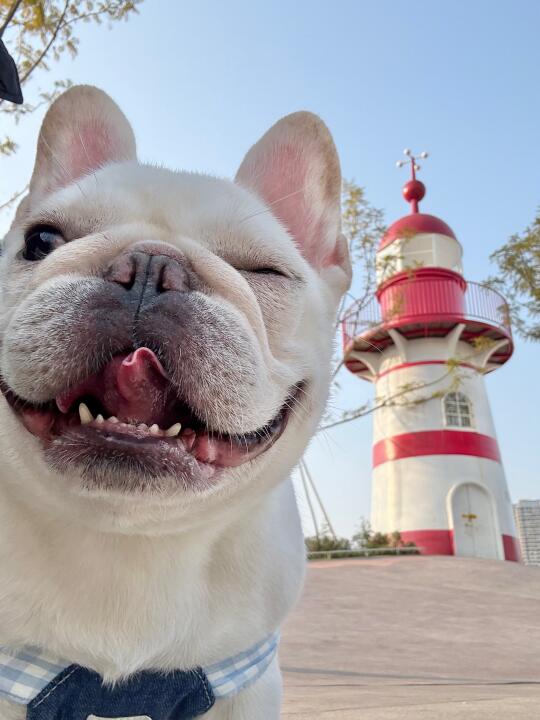 人，我到公园了，你在哪？