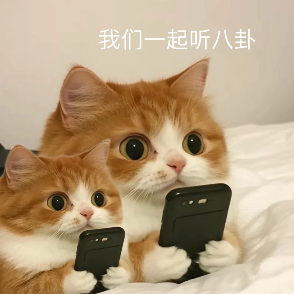 真敢问啊[憧憬] ​​​