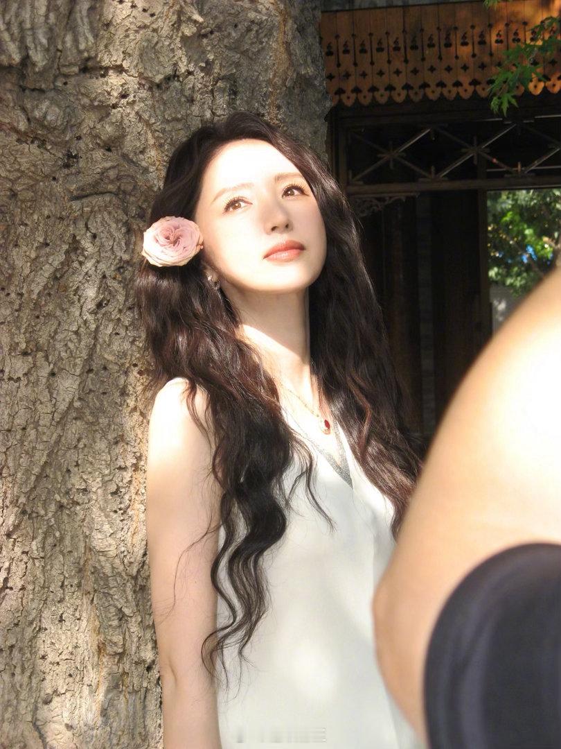 董璇 