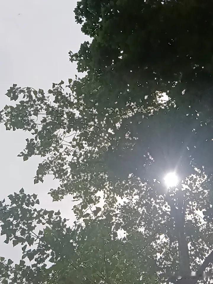 发现一个真相！

有没有发现，炒股总是亏钱容易，赚钱难！

指数大涨的时候，个股