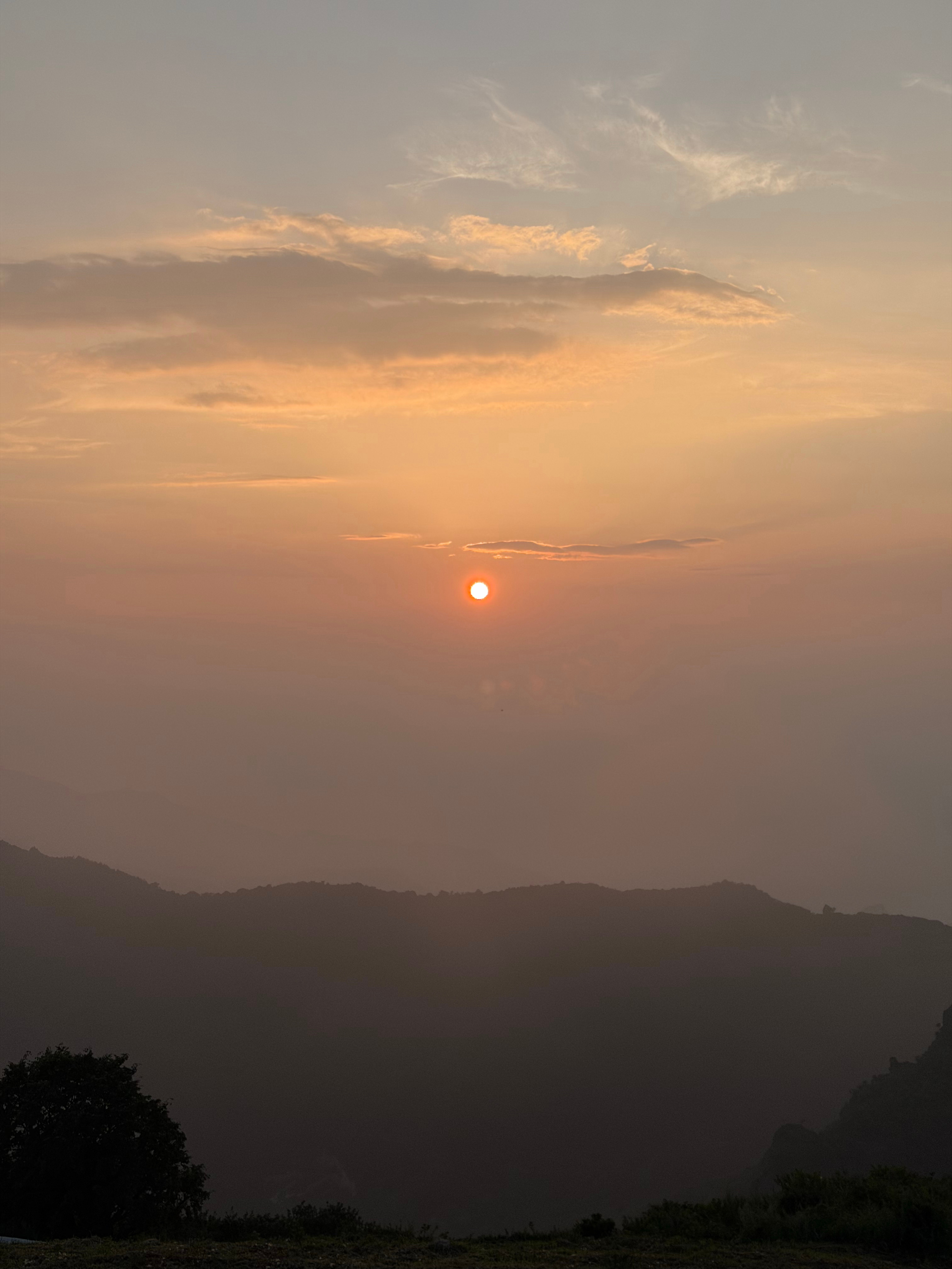好了，回不去了 北京·妙峰山森林公园玫瑰谷
