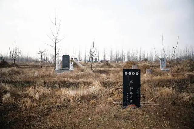 走向荒冢的老者(小说)
 
暮春，细雨如丝，打湿了洛阳城外的荒草。
 
一位白发