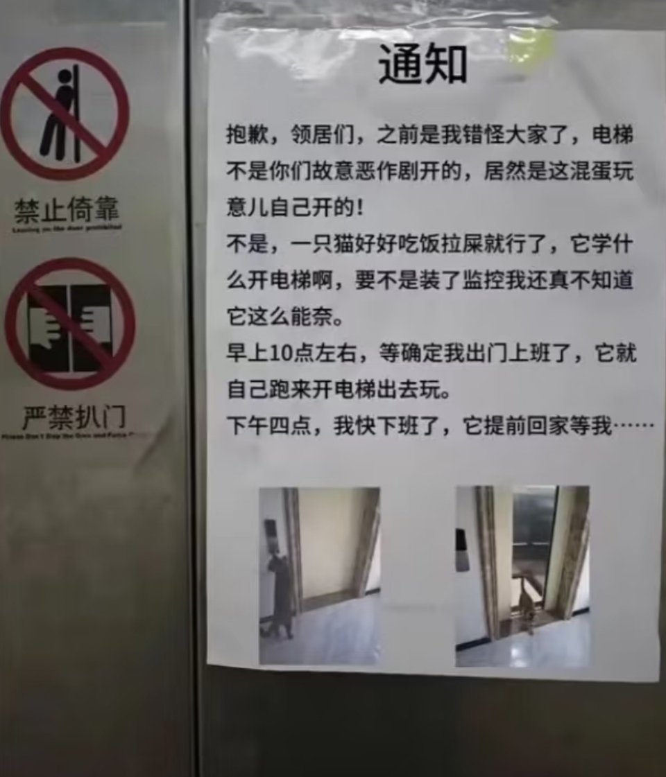后续来了，“对不起各位邻居了，那只坐电梯上九楼的猫猫，是自己按的电梯。” 