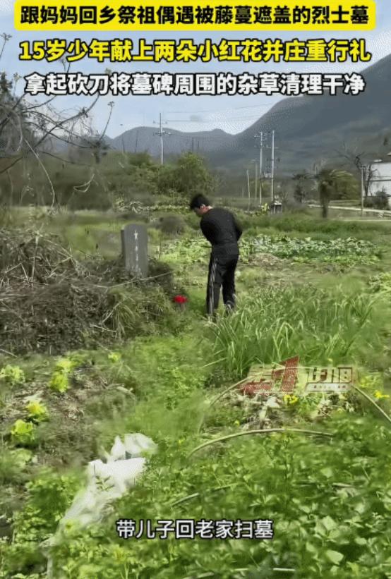 江西九江，女子带15岁的儿子回老家扫墓时。儿子偶然发现一座被藤蔓遮盖的烈士墓碑。