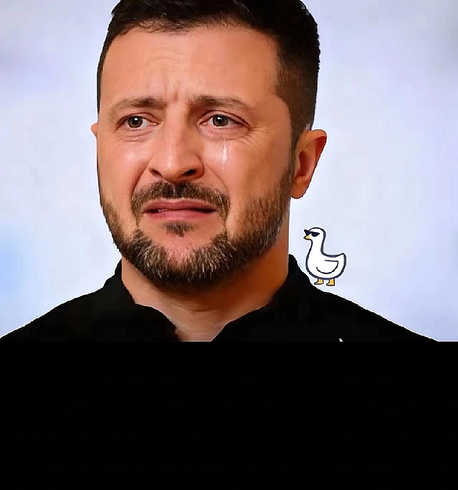 谈崩了！
央视新闻刚曝出大消息：乌克兰外交部直接官宣，今年年底前彻底暂停和俄罗斯