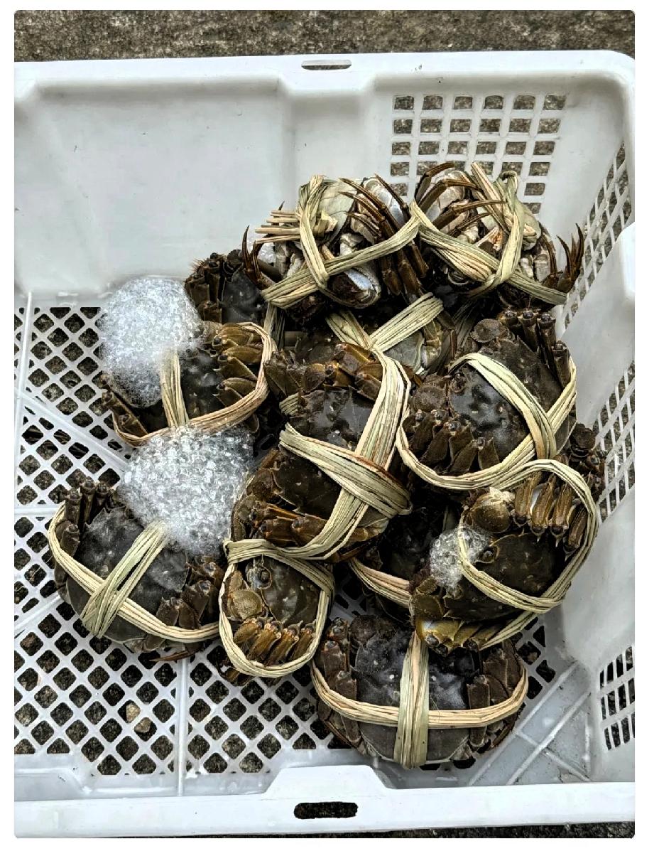 我发现，中秋节过后降价最厉害的这几种，尤其是最后这几样：

1、大闸蟹，节前的时
