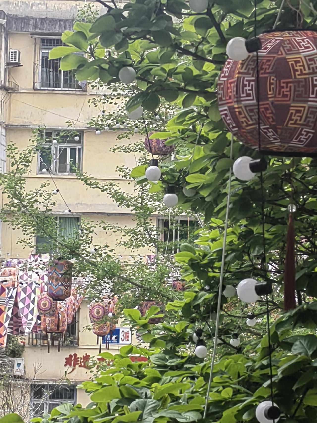 我又开始憧憬自己在绵阳独自生活的日子啦！自由又清净，想做什么就做什么，耳边再也没