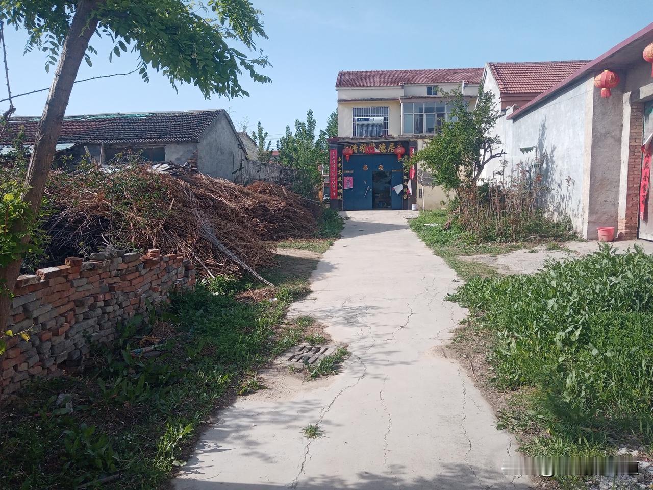 老农谚
三月看初五
三月看初五，便知甜与苦
三月初五晴一天，地丰人旺福禄添
三月